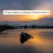 5 Daily Habits to Attract Positive Karma (With Case Studies & Journal Prompts)