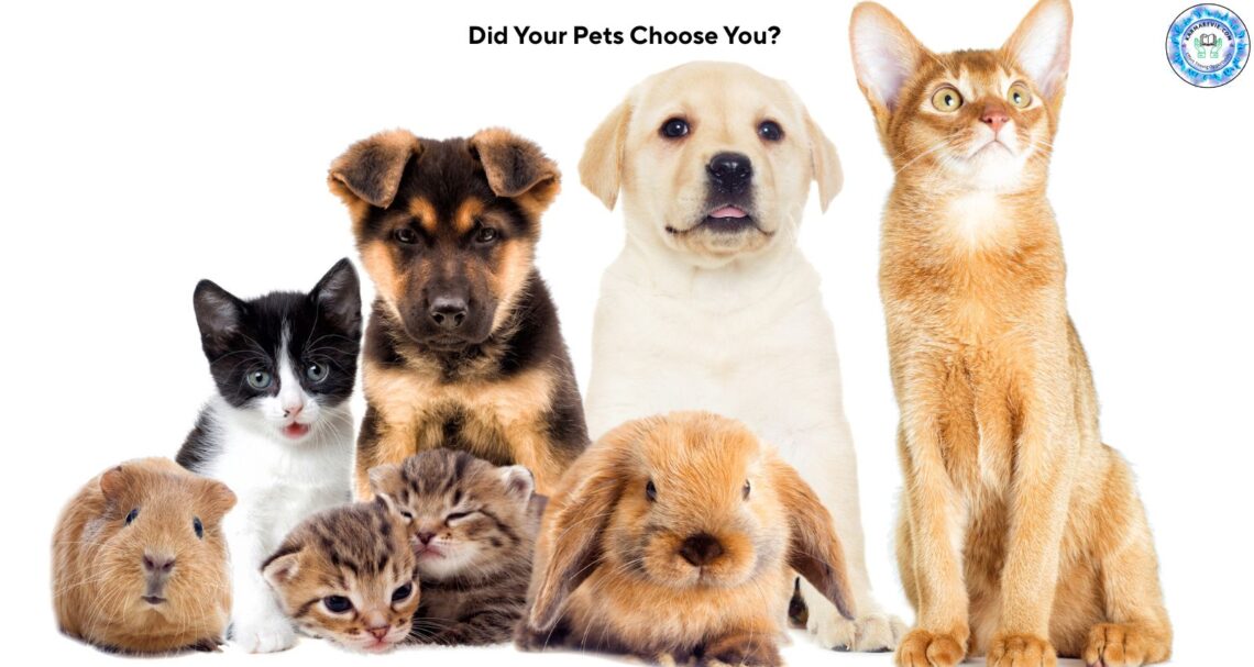 Pets as Soulmates: Karmic Connections Explored