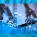 Ethical Tech for Spiritual Energy