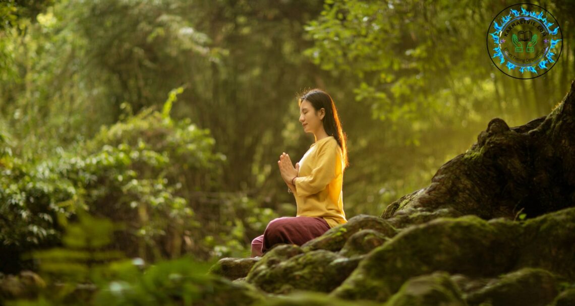 Harmony with Nature Guide