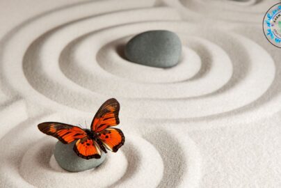 Minimalism with Purpose: Declutter Your Life, Elevate Your Soul