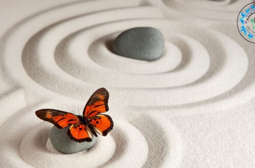 Minimalism with Purpose: Declutter Your Life, Elevate Your Soul