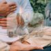 The Science Behind Meditation